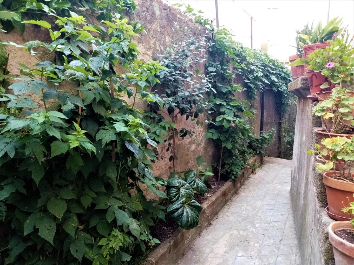 Casa Da Judiaria Velha Viseu Exterior foto